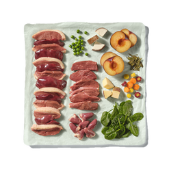 80% Duck Block image number 2